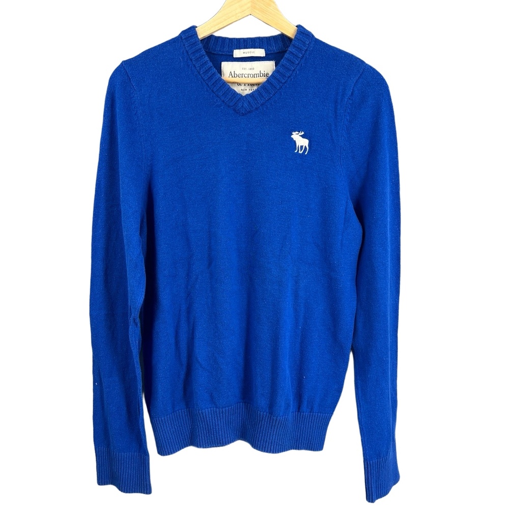 Abercrombie And Fitch Sweater‎ Blue Muscle Fit V Neck Long Sleeve Y2K Large
